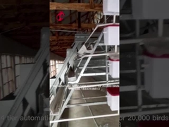 Αυτόματο κλουβί στρώματος αυγών μπαταριών εξοπλισμού κλουβιών κοτόπουλου 96 πουλιών για τις ωοτόκες όρνιθες στη Νιγηρία Iris