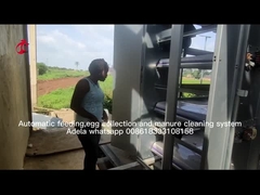 Πλήρης ένας αυτόματος κλουβιών μπαταριών κοτόπουλου στρώματος τύπων για το μεγάλο αγρόκτημα Adela