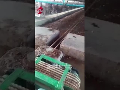 Μηχανή Mia αφαίρεσης λιπάσματος αγροτικής χρήσης κοτόπουλου 5.000 πουλιών