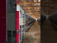 Σχέδιο κλειδί σε χέρι Συστήματα κυψελών ηλεκτρικής μπαταρίας για πουλερικά 3 βαθμίδες 450cm2 Star