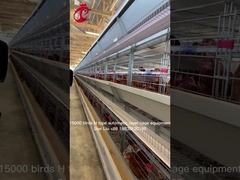 Με έλεγχο από υπολογιστή αστέρι εξοπλισμού κλουβιών κοτόπουλου αύξησης αυτόματο