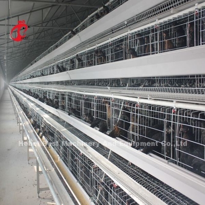 Γαλβανισμένο εν θερμώ A τύπου Automatic Drinking System Layer Cage In Farm Adela