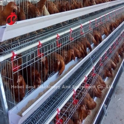 Τύπος 4 Τεχνών Ασημένιο Ζυθοποιημένο στρώμα Συστήματα Κλουβιών μπαταριών Adela