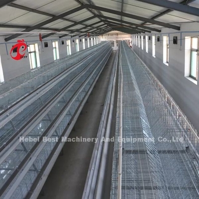 20000 Birds Chicken Farming Cage System που χρησιμοποιείται σε Birds Laying Mia