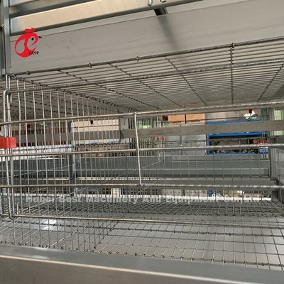 20 διάρκειας ζωής στρώματος πουλερικών καλλιέργειας αυτόματου κοτόπουλου έτη εξοπλισμού κλουβιών για 20.000 στρώματα Adela