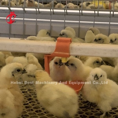 Πρακτικό 380V Chick Brooder Κλουβί Για Ημέρα Παλαιό στρώμα καλλιεργητές κοτόπουλα στην Αφρική Φάρμα Ιρίς