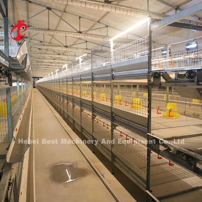 Πρακτικό 380V Chick Brooder Κλουβί Για Ημέρα Παλαιό στρώμα καλλιεργητές κοτόπουλα στην Αφρική Φάρμα Ιρίς