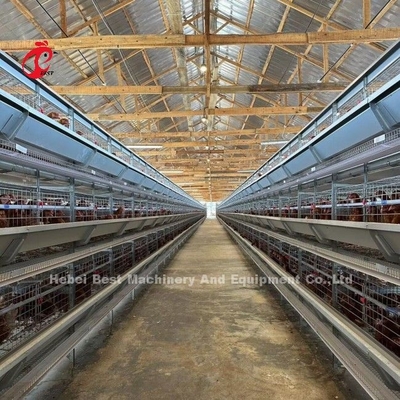 120 κλουβιά μπαταριών πουλερικών ικανότητας πουλιών αυτόματο αγρόκτημα Doris στρώματος Α ή Χ