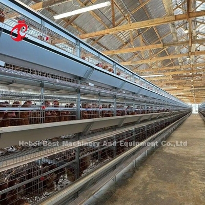 120-200 Κοτόπουλα χωρητικότητα στρώμα σύστημα μπαταρίας κλουβί για 500 έως 50000 κοτόπουλο αγρόκτημα Doris