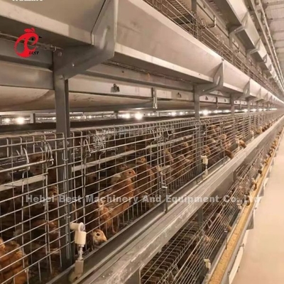Q235 Ατσάλι ισχυρότερο σύρμα κλουβί κοτόπουλου 1,5 μέτρα × 2,2 μέτρα × 1,75 μέτρα Adela
