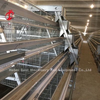 3/4/5 Τετάρτη σύστημα μπαταρίας κλουβί για αυτοματοποιημένη στρώση κοτόπουλο πουλερικών εκτροφή Iris