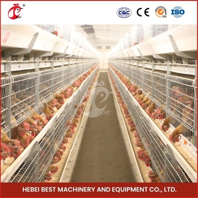 Ζεστό Ζαλβανισμένο Κλουβί Μεταφοράς Broilers Ασημένιο Χρώμα Ανθεκτικό Αξιόπιστο Mia