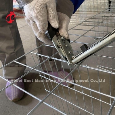 Ζεστό Ζαλβανισμένο Q235 Steel Chicken Battery Cage Για τη Νιγηρία Γκάνα Καμερούν Φούρμες Κοτόπουλων Doris