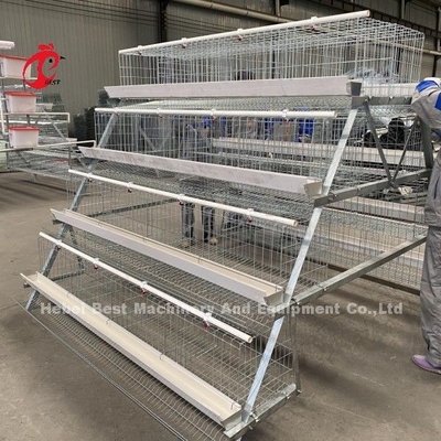 Ζεστό Ζαλβανισμένο Q235 Steel Chicken Battery Cage Για τη Νιγηρία Γκάνα Καμερούν Φούρμες Κοτόπουλων Doris