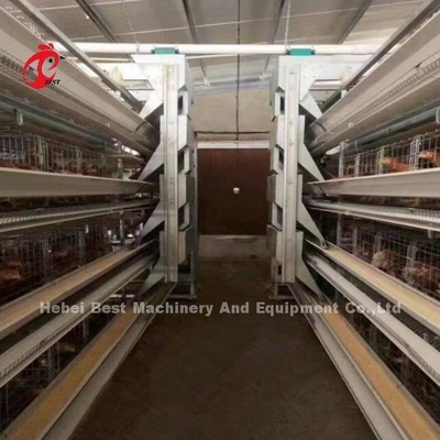 Αυτοματοποιημένο στρώμα μπαταρίας κλουβί σύστημα H πλαίσιο για 30000 πουλιά πουλερική εκτροφή Emily Wang