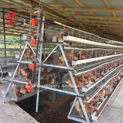 3 Tier 120 πουλιά και 4 Tier 160 πουλιά στρώμα σύστημα μπαταρίας κλουβί για την Ουγκάντα Τανζανία Αγελοτροφία Sandy