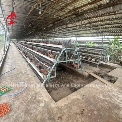 Σύστημα κελιού μπαταρίας 3 ή 4 βαθμίδων για 500-1000 πτηνά