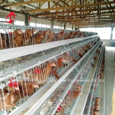 Γαλβανισμένο κλουβί 40 στρώματος αυγών κλουβιών καλλιέργειας πουλερικών σύστημα πόρτες στην Αφρική Adela