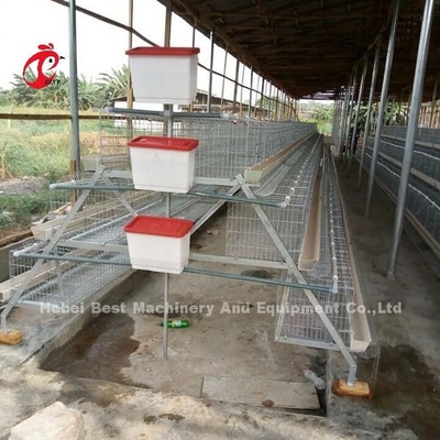 Η Κίνα εισήγαγε το ντυμένο κλουβί μπαταριών κοτόπουλου ISO9001, σύστημα 4 κλουβιών κοτόπουλου στρώματος πόρτα αμμώδης