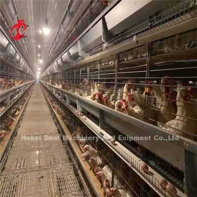 144 Πτηνές χωρητικότητα Κλουβί στρώσης τύπου H για εμπορική κοτόπουλο μίας