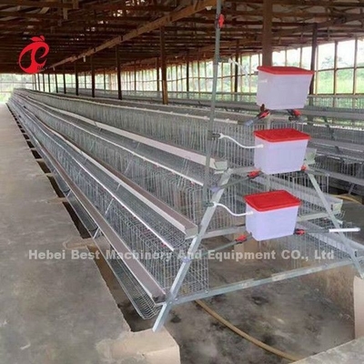 Εμπορικό σύστημα 2.0m*2.0m*1.45m κλουβιών μπαταριών στρώματος κοτόπουλου στο αστέρι της Νιγηρίας