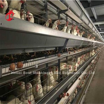 Ευρέως χρησιμοποιημένο κλουβί στρώματος πουλερικών καλωδίων σιδήρου για το εμπορικό κοτόπουλο Mia