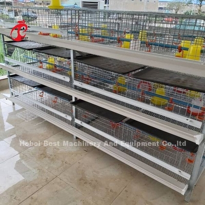 Εκτός από το διαστημικό σύρμα χαμηλού άνθρακα κλουβιών κοτόπουλου σχαρών πουλερικών χαλύβδινο στην Αφρική Adela