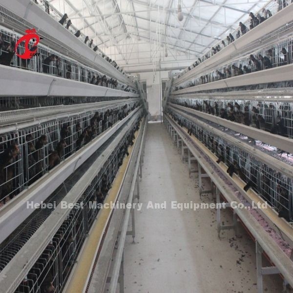 Γαλβανισμένο εν θερμώ A τύπου Automatic Drinking System Layer Cage In Farm Adela