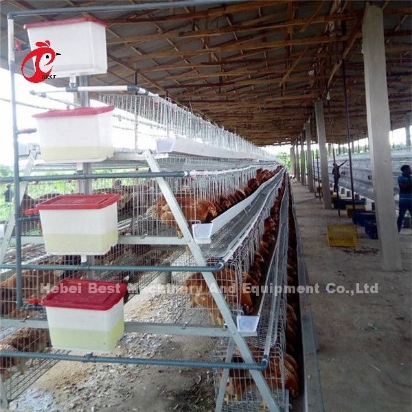 3.5mm 3 σειρές 4 σύστημα κλουβιών μπαταριών πουλερικών σειρών 20 έτη διάρκειας ζωής στη Νιγηρία Ada