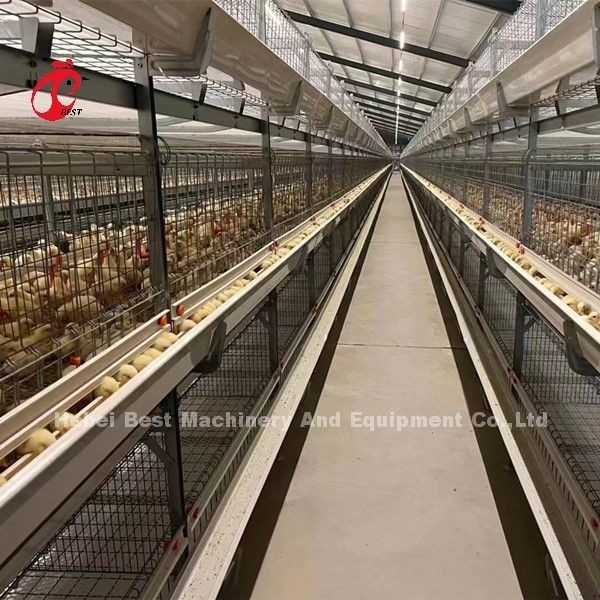 Κλουβί σχαρών πουλερικών Α και Χ που αυξάνει τον εξοπλισμό για τους νεοσσούς ημέρας αμμώδεις