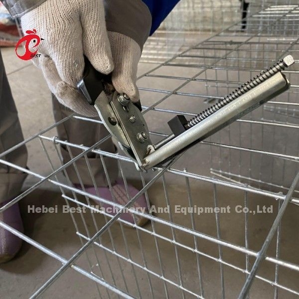Ζυγισμένο Τύπος 3 ή 4 Τάξη Κοτόπουλο Τάξη Κοτόπουλο μπαταρία Κλουβί για 45.000 πουλιά Κοτόπουλο Φάρμα Κοτόπουλο Doris
