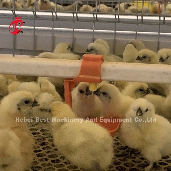 Πρακτικό 380V Chick Brooder Κλουβί Για Ημέρα Παλαιό στρώμα καλλιεργητές κοτόπουλα στην Αφρική Φάρμα Ιρίς