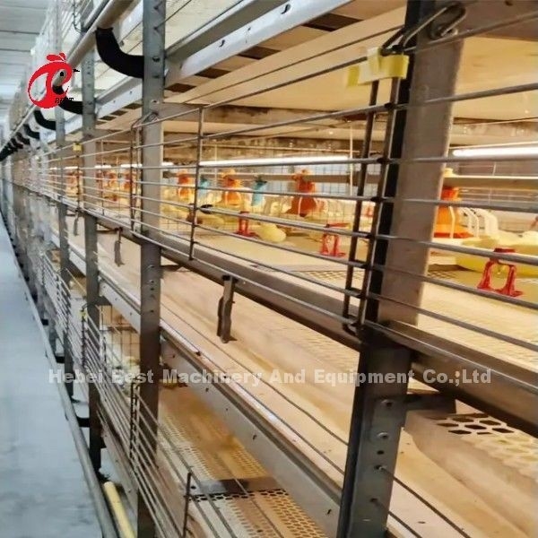 ΒΕΡΤΕΡΟΣ Ζυγισμένος αυτόματο σύστημα κλουβιών κοτόπουλου τύπου H
