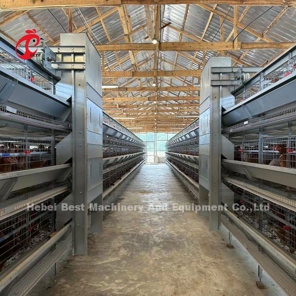 110kg χωρητικότητα κλουβί στρώσης πουλερικών με αυτόματα ποτήρια ρυμουλκού για τις οικίες πουλερικών Doris