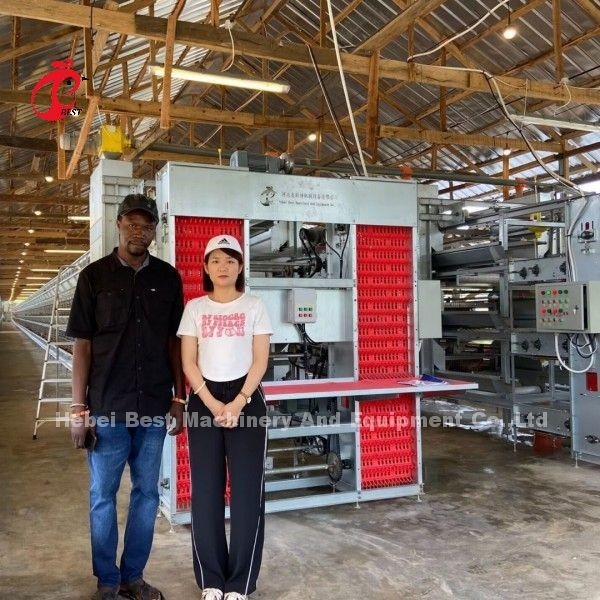 Ζεστό Ζαλβανισμένο Q235 Steel Chicken Battery Cage Για τη Νιγηρία Γκάνα Καμερούν Φούρμες Κοτόπουλων Doris