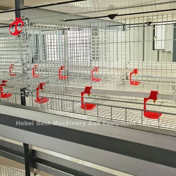 Q235 Ατσάλι ισχυρότερο σύρμα κλουβί κοτόπουλου 1,5 μέτρα × 2,2 μέτρα × 1,75 μέτρα Adela
