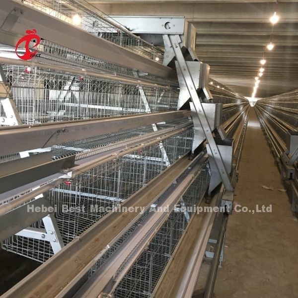 3/4/5 Τετάρτη σύστημα μπαταρίας κλουβί για αυτοματοποιημένη στρώση κοτόπουλο πουλερικών εκτροφή Iris