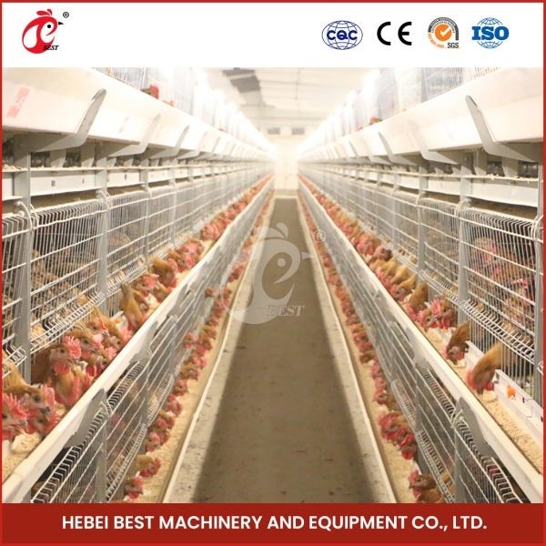 Ζεστό Ζαλβανισμένο Κλουβί Μεταφοράς Broilers Ασημένιο Χρώμα Ανθεκτικό Αξιόπιστο Mia