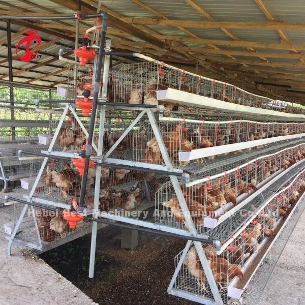3 Tier 120 πουλιά και 4 Tier 160 πουλιά στρώμα σύστημα μπαταρίας κλουβί για την Ουγκάντα Τανζανία Αγελοτροφία Sandy