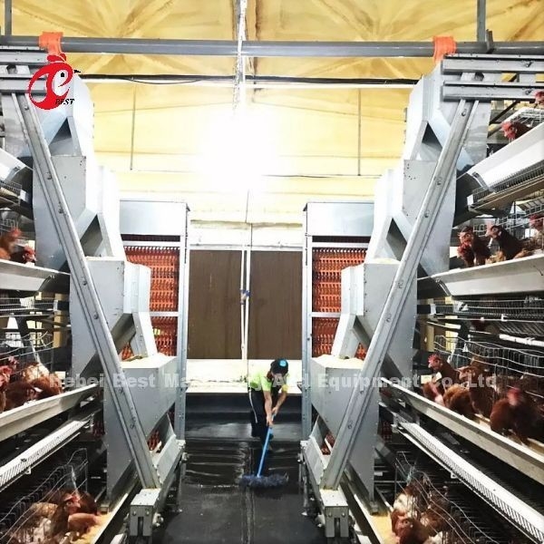 Πλήρης ένας αυτόματος κλουβιών μπαταριών κοτόπουλου στρώματος τύπων για το μεγάλο αγρόκτημα Adela